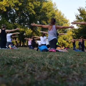 Group of adults practicing yoga outdoors in a park surrounded by trees.